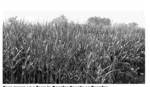 Bacon, Nebraska ag press for North American free trade