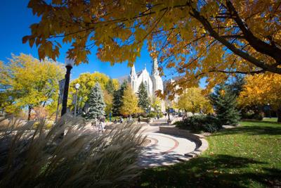 Applying for college financial aid: a step-by-step guide