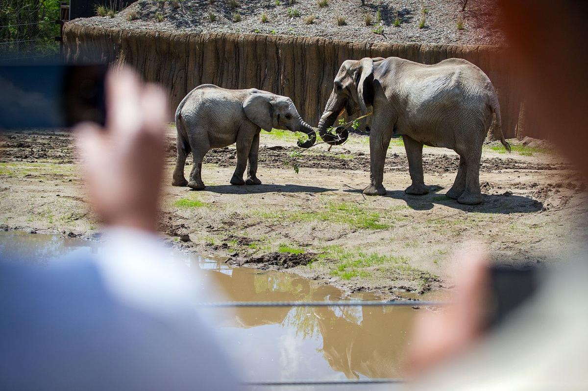 Insurance policies cover Henry Doorly Zoo’s many needs | Money | omaha.com