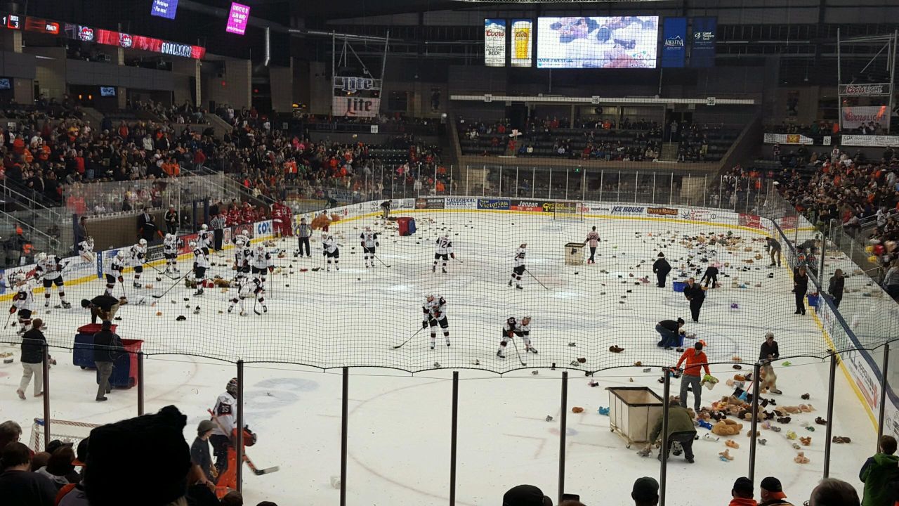 teddy bears on ice