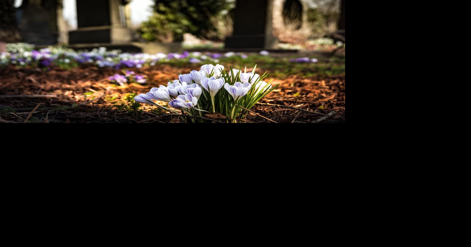 Omaha WWII veteran who served in North Africa and Italy was master mechanic