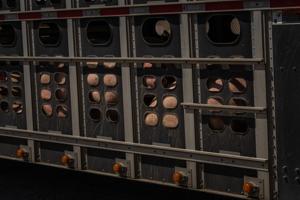 LIF-NEB-Pillenfarm_127