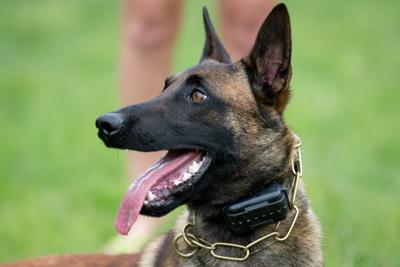 one of omaha police