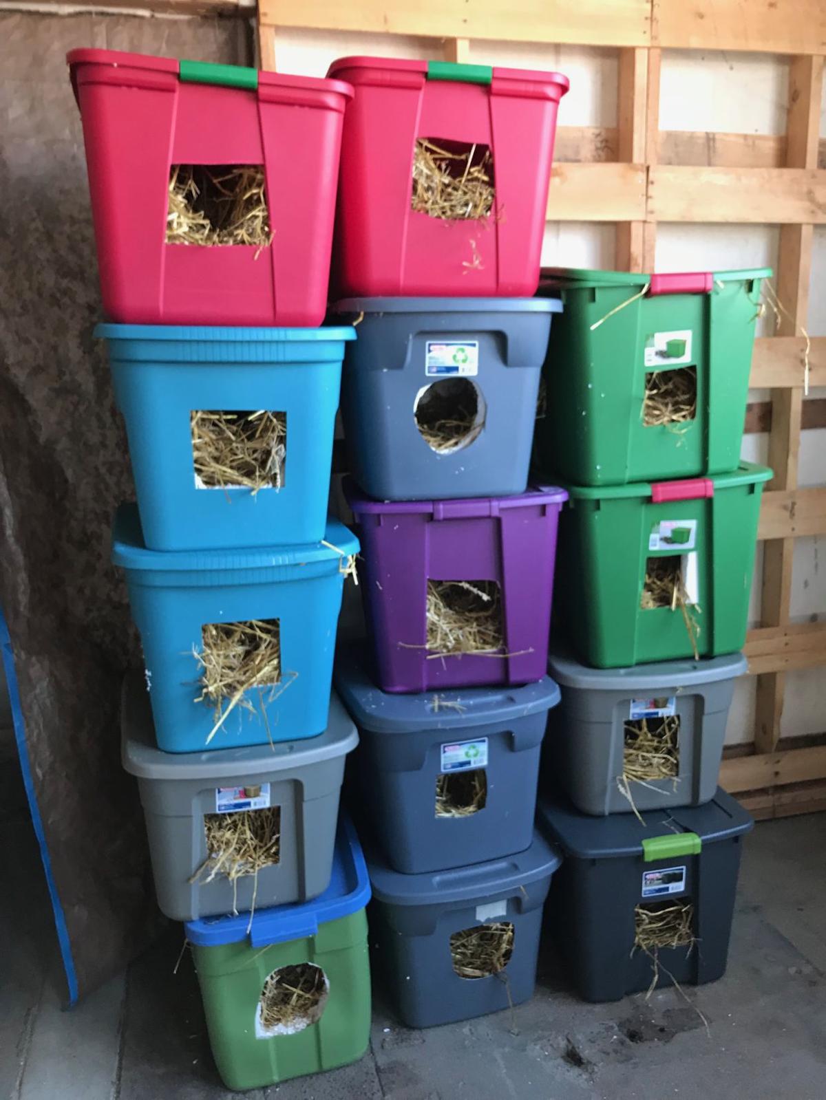Kitty lovers become builders to provide Omaha s feral cat Kitty lovers become builders to provide Omaha s feral cat