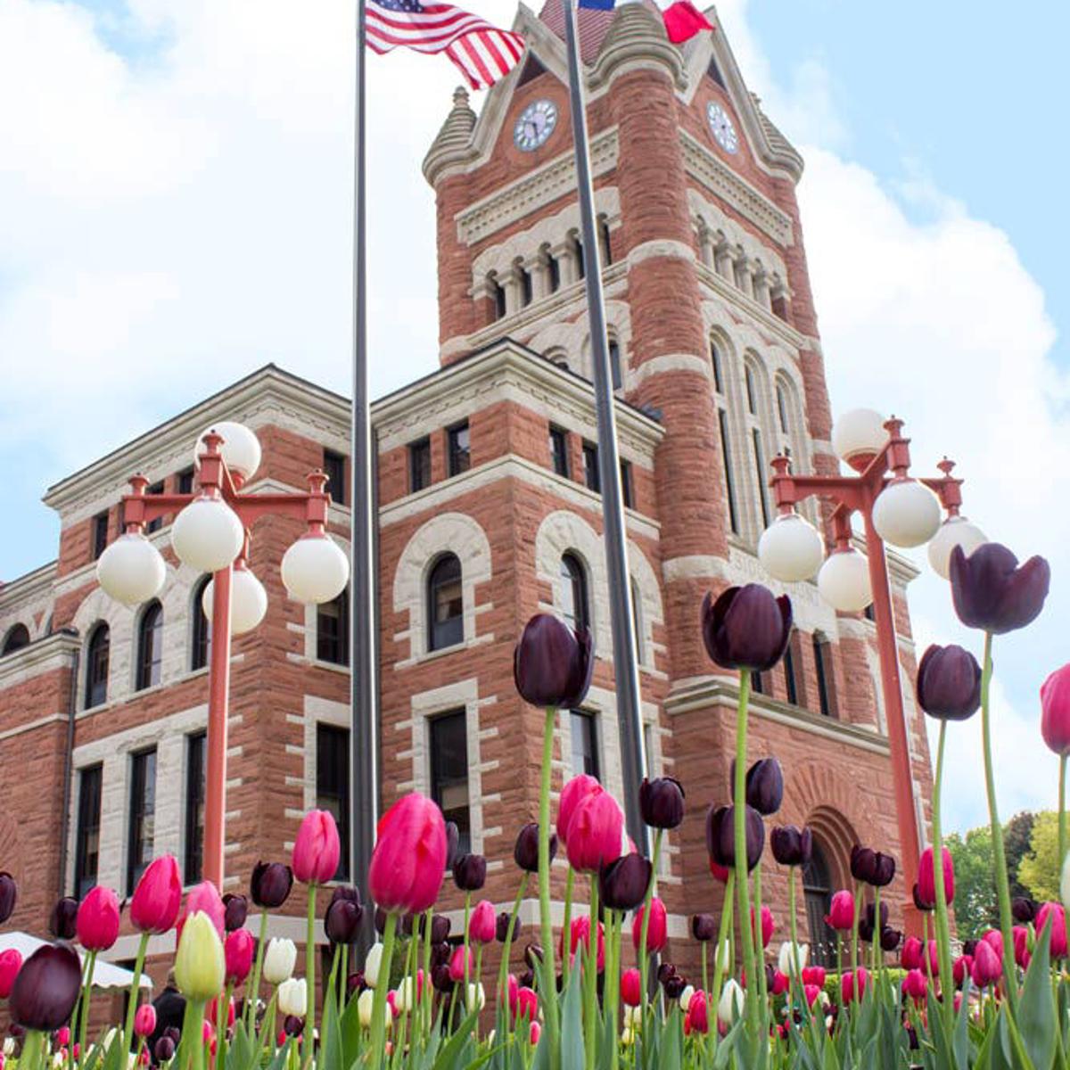 Tiptoe Through The Tulips Special Sections Omaha Com