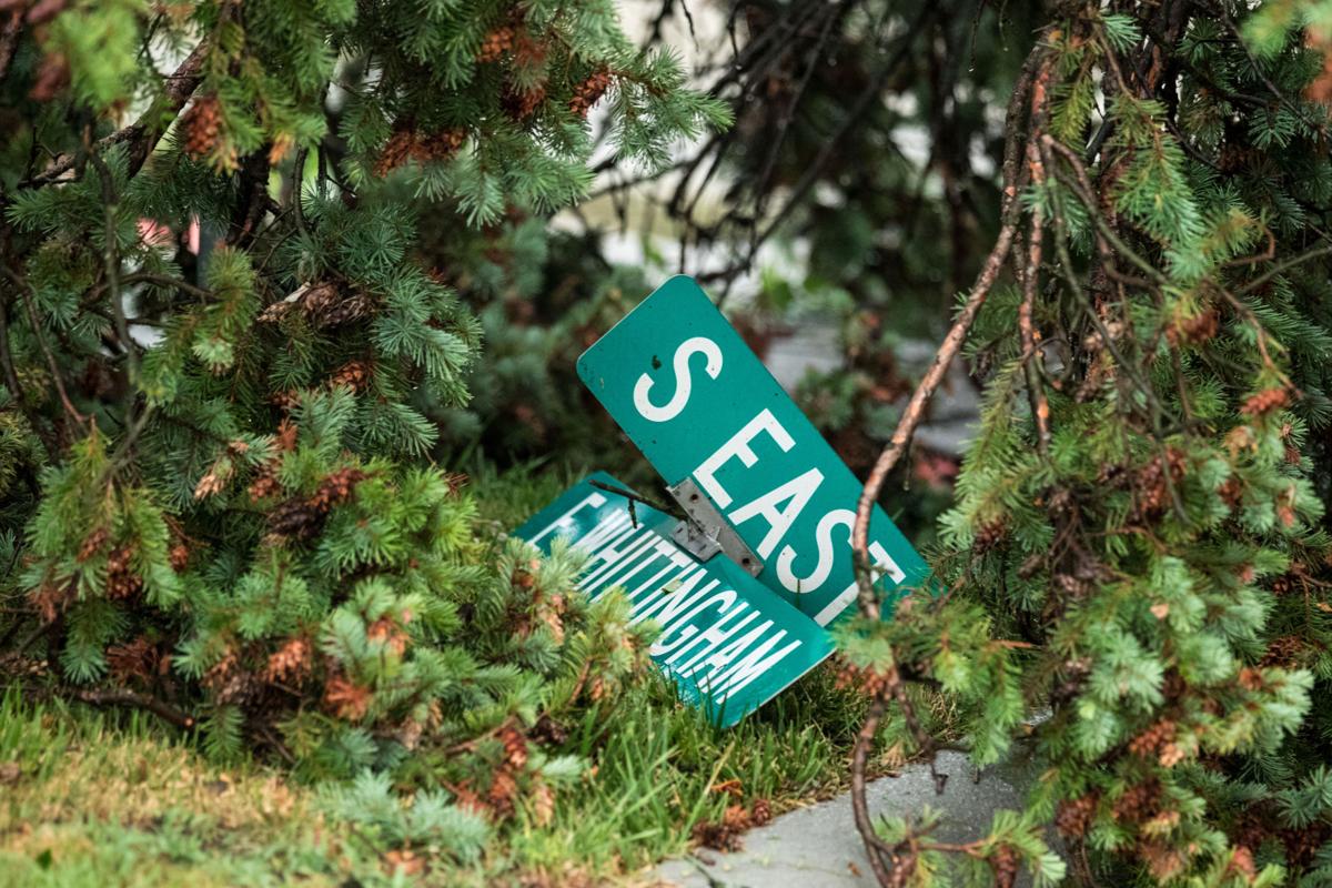 Where To Drop Off Tree And Demolition Debris In Omaha Area Local News Omaha Com