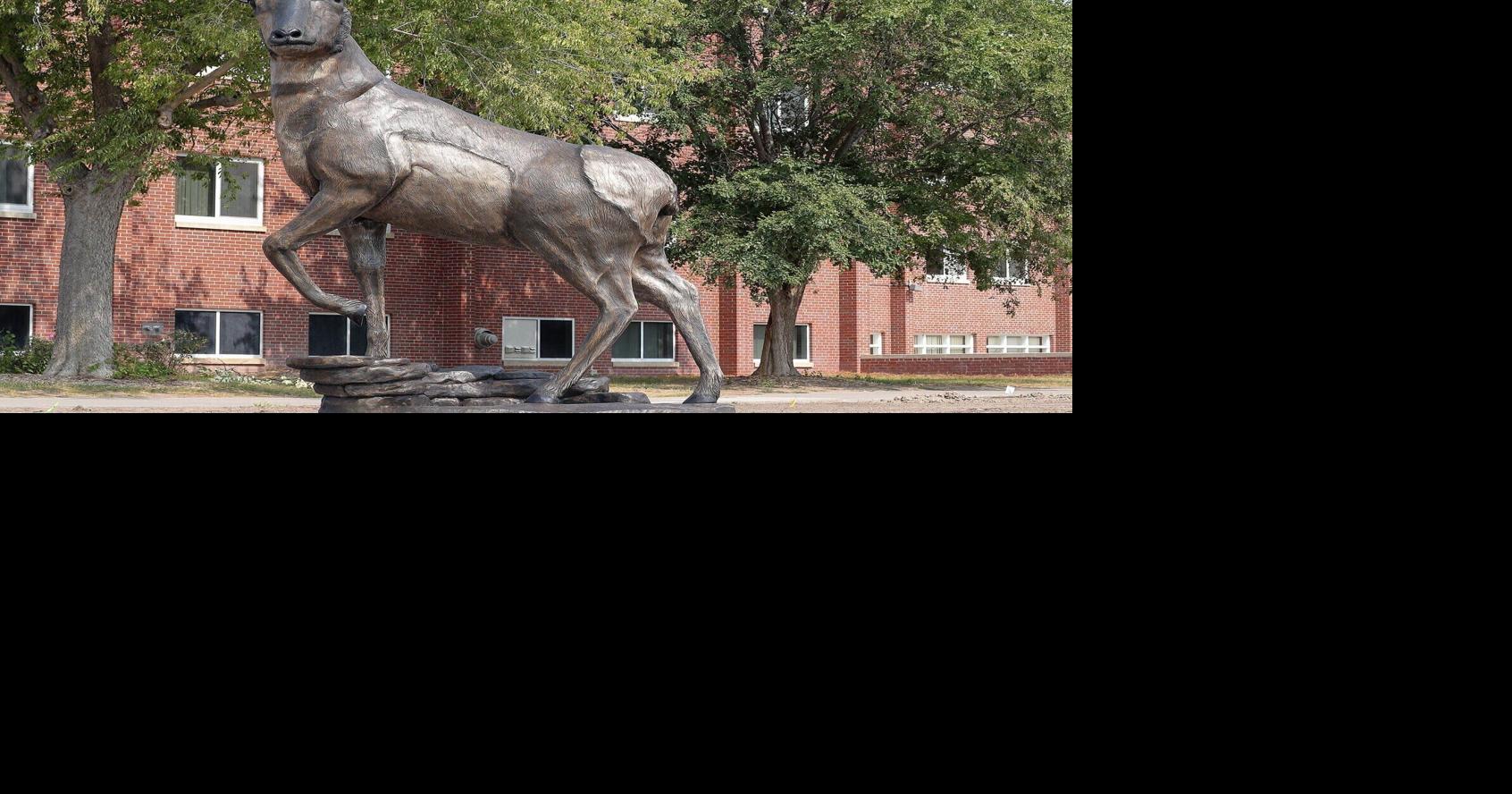 UNK pulls transgender training video after backlash from Pillen ...