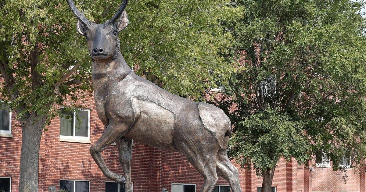 UNK pulls transgender training video after backlash from Pillen ...