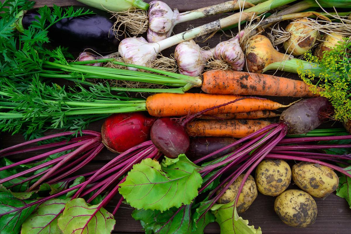 Addressing food insecurity