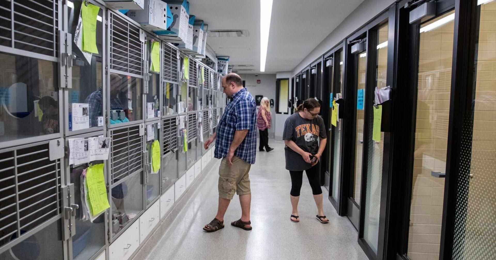 Nebraska Humane Society pausing adoptions, visits - Vimarsana News