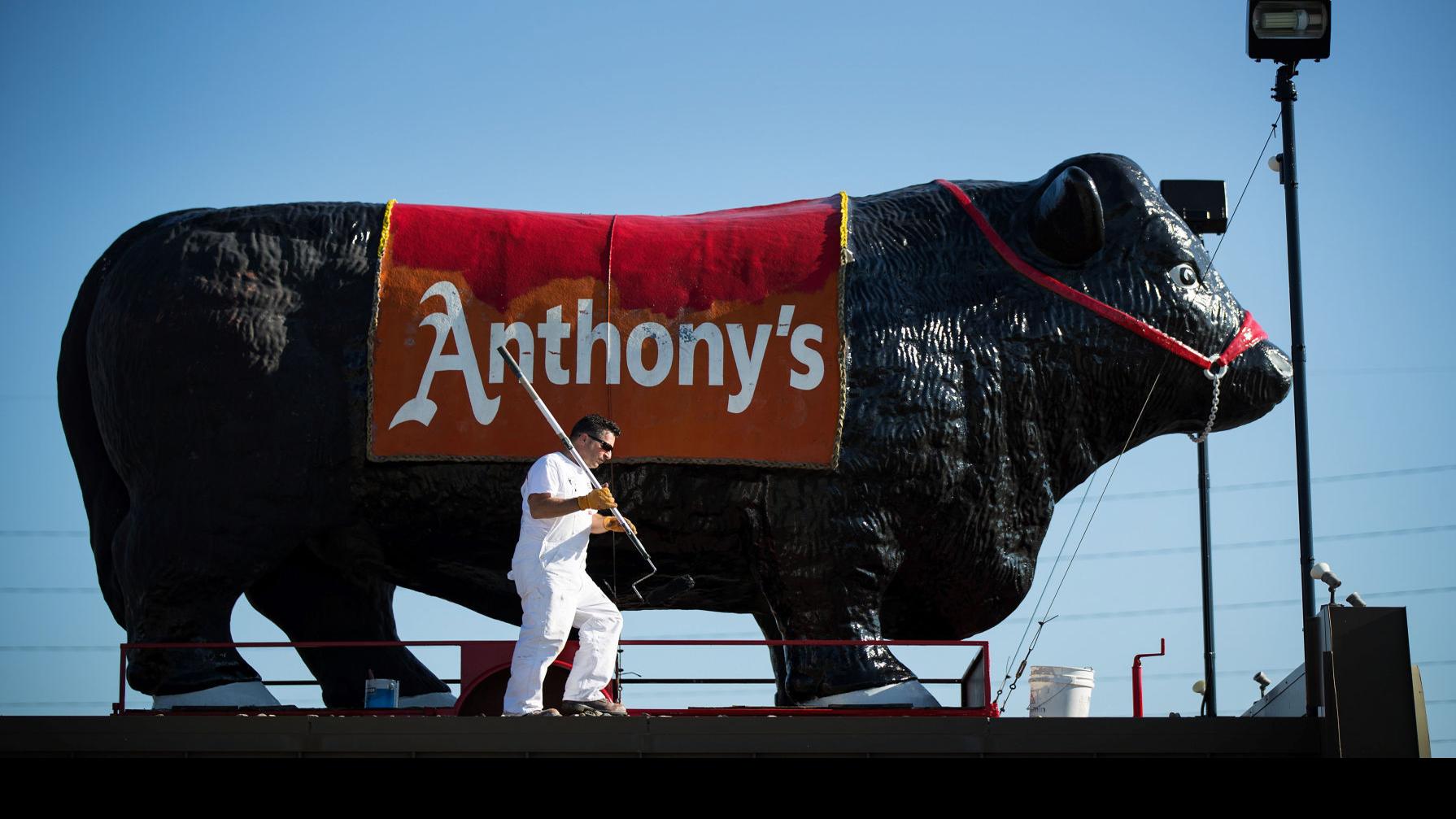 Kelly Steer At Anthony S Steakhouse Gets A Fresh Coat Of Paint