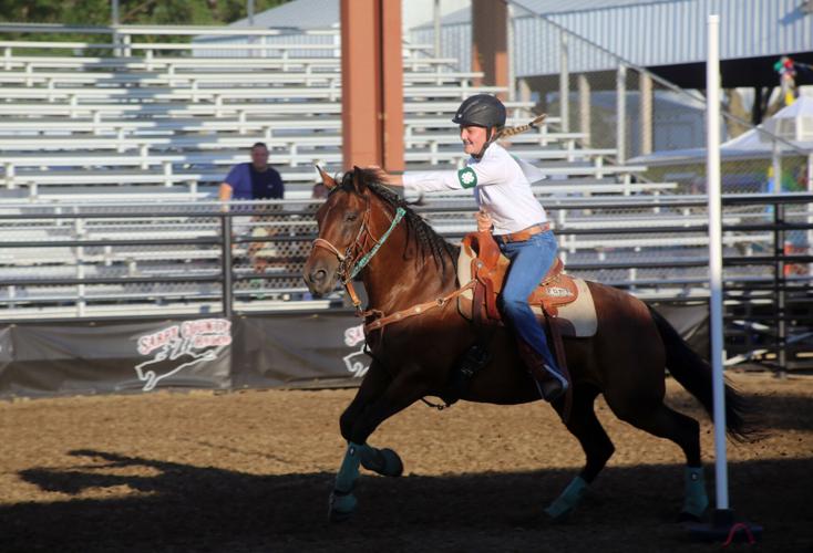 080724-sni-news-4h-horse-8.jpg