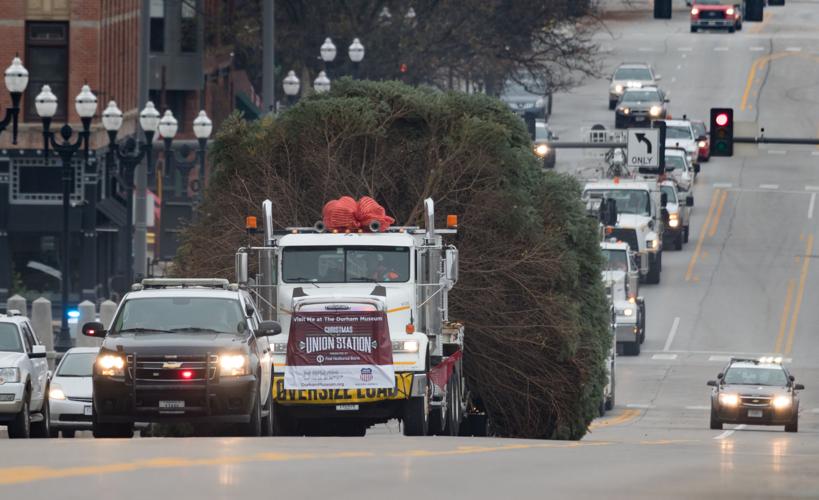 Once a nuisance, 40-foot tree now will be on display at the Durham Museum