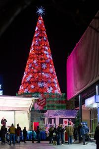 2019: Salvation Army Tree of Lights