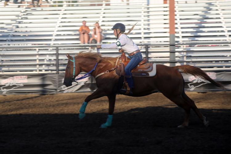 080724-sni-news-4h-horse-14.jpg
