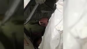 Venezuela: Woman Rescued Alive After Earthquakes in Venezuela.