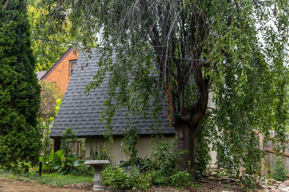 ‘Oddball’ Garden Selections Are Perfect Choice for Omahans Who Also Love to Cook ‘Oddball’ Garden Selections Are Perfect Choice for Omahans Who Also Love to Cook