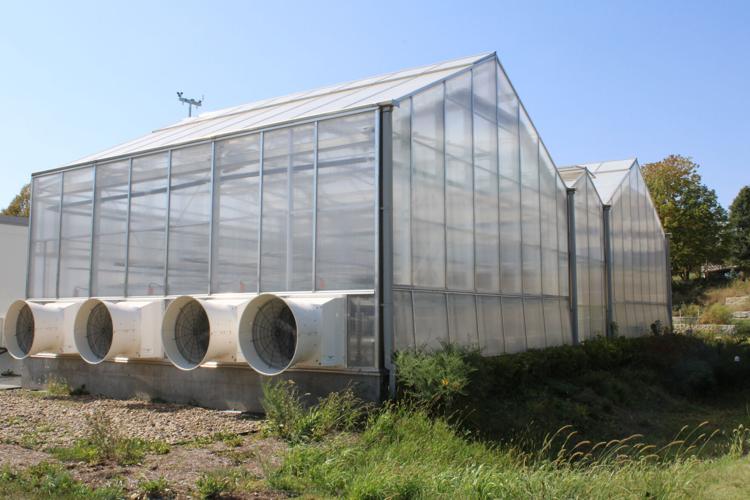 Greenhouse