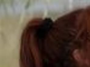 Pit Bulls And Parolees Season Premiere Nov 2 Latest Headlines Omaha Com