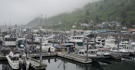 Alaska fishers fear another bleak season as crab populations dwindle in warming waters Alaska fishers fear another bleak season as crab populations dwindle in warming waters