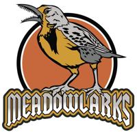 Meadowlarks