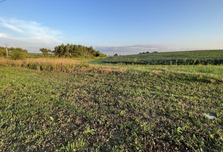 Sarpy County Growth