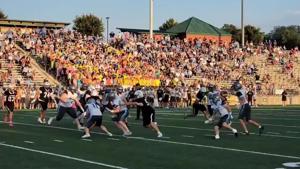 Standing Bear forces, recovers Northwest fumble