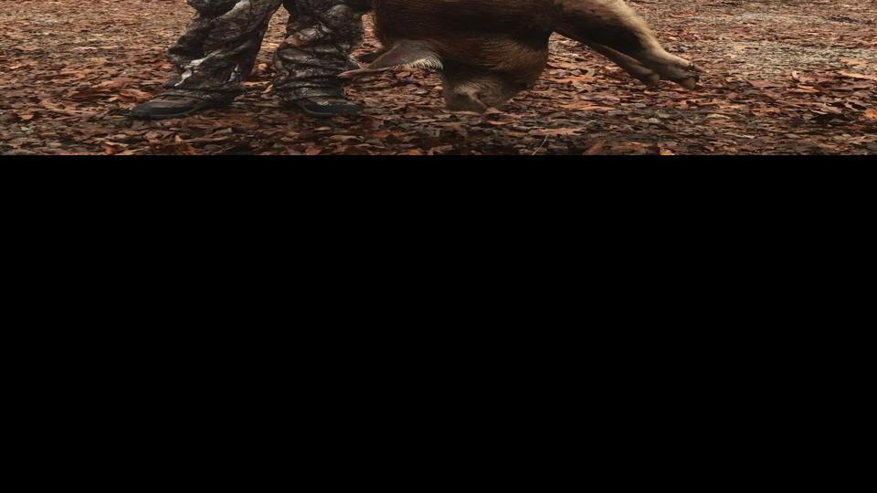 Big boar hunting in Tennessee a change of pace for Nebraskans