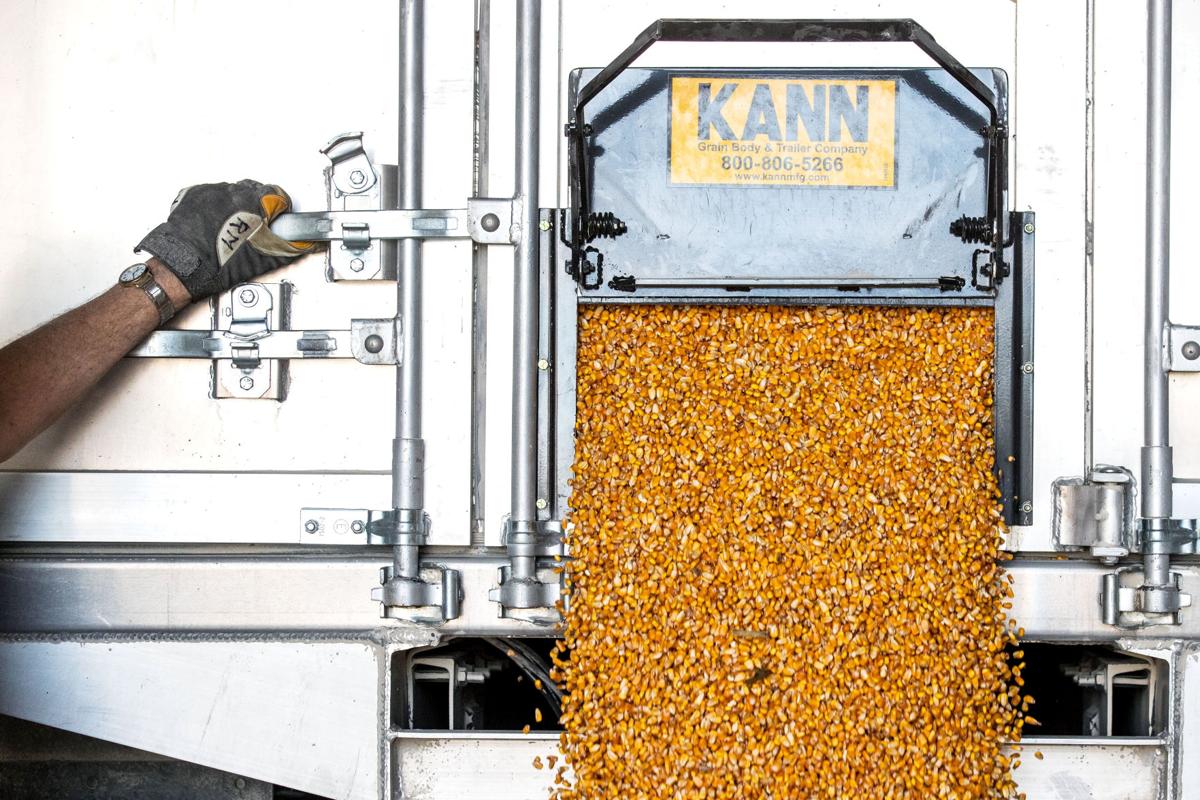 Omahabased Gavilon still faces an oversupply of grain from record 2016