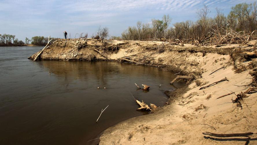 Morel hunting Finding gold in a flood zone