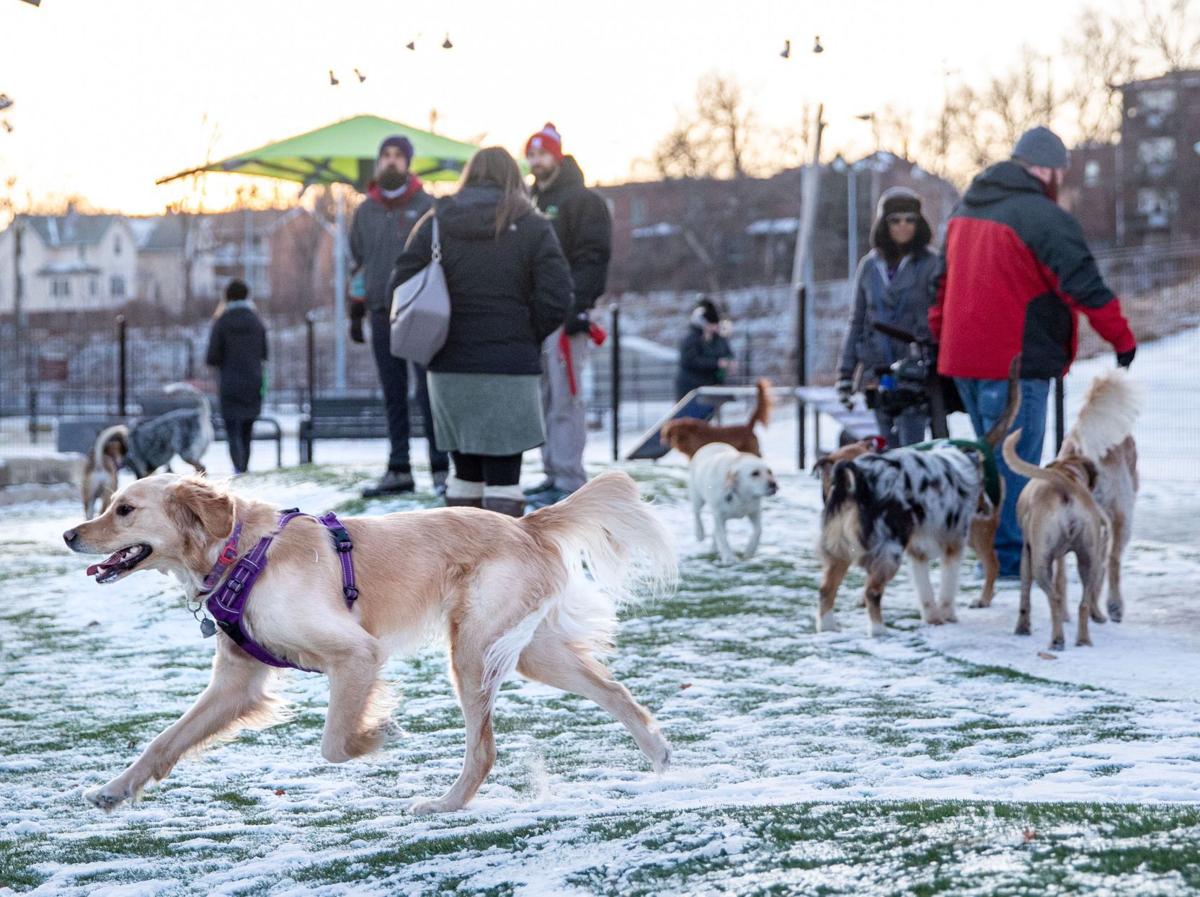 'Good for dogs and people' Omaha's newest dog park opens in midtown