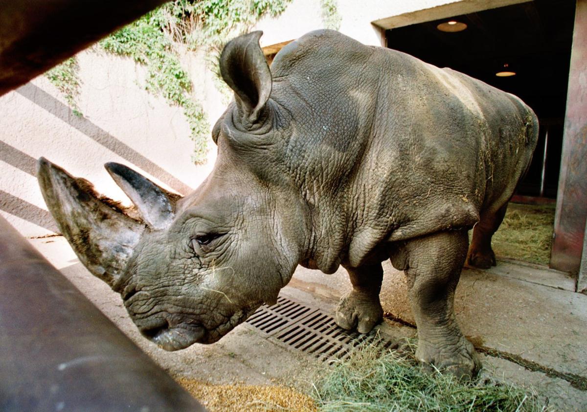 20180525_new_zooanimals086