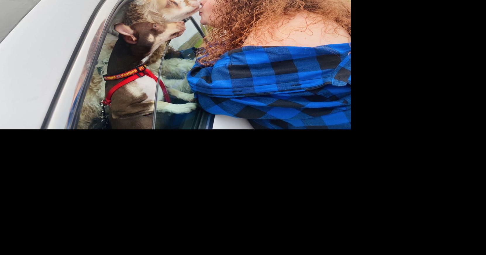 Dog Gone Problems My friend’s dog won't stop licking my face