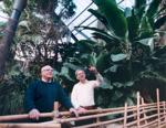 Lied Jungle history
