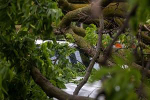 051826-owh-new-stormaftermath-cm-05