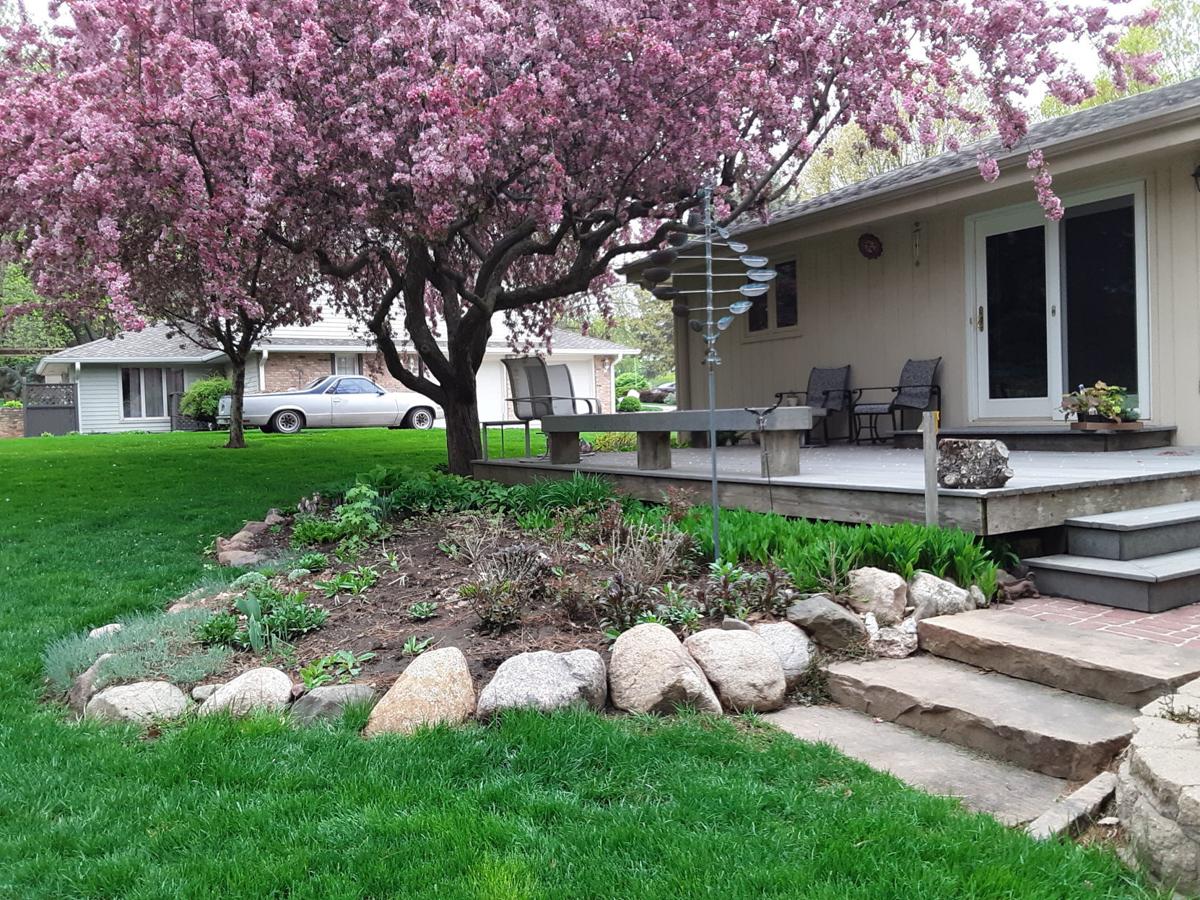 The Grass Is Gone So What S Next Try A Prairie Or Forest