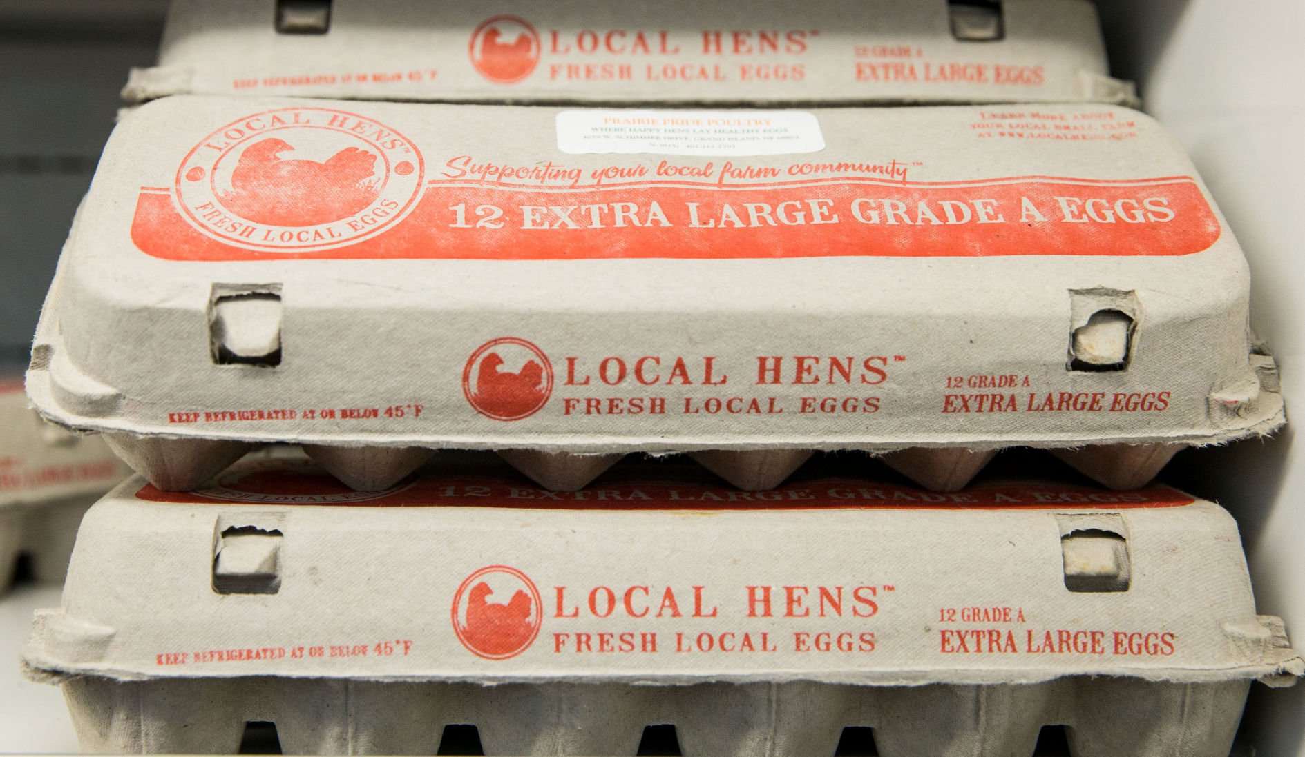 50 pack of 12 Count Grade A Extra Large Egg Cartons Country Fresh Locally Grown.
