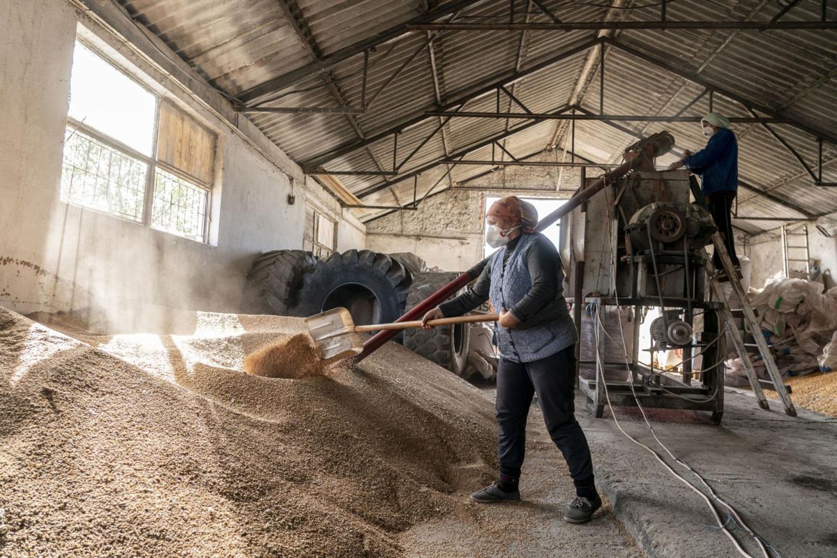 Key food prices are surging after virus upends supply chains