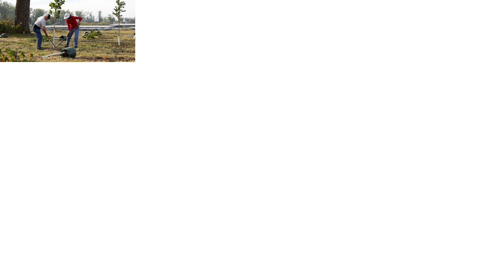 Tree-planting for Nebraska Memorial Forest in second year - Vimarsana News