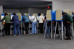 103126-owh-new-voting-nf-08.JPG
