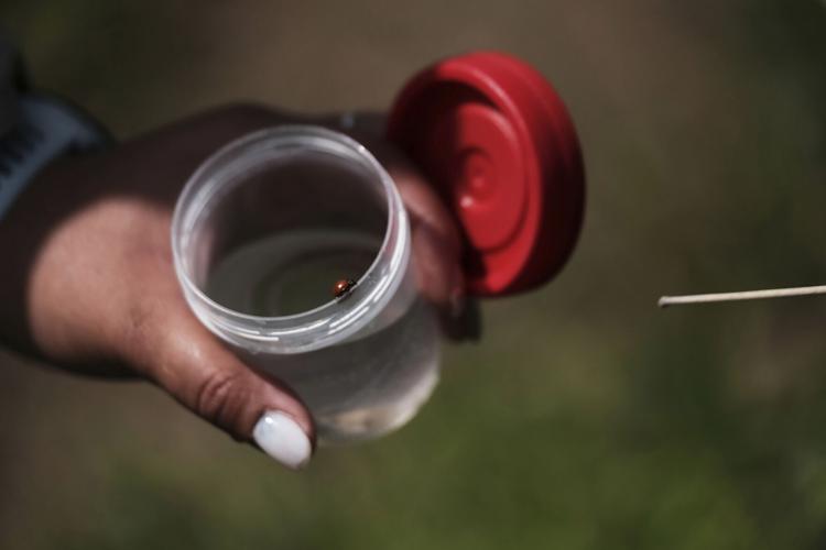 Mexico Disappeared Science