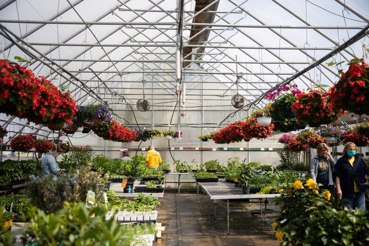 An unexpected effect of lockdown Garden centers are