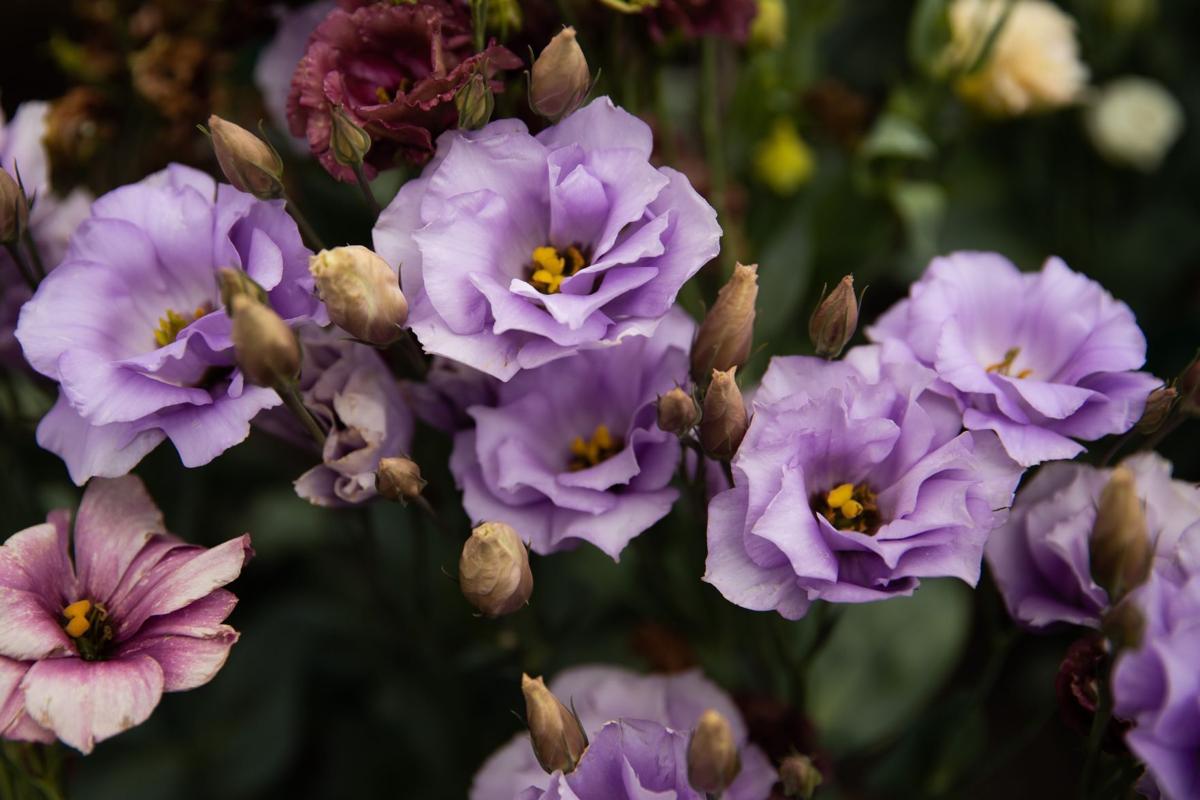 20200808_new_prague_ar04