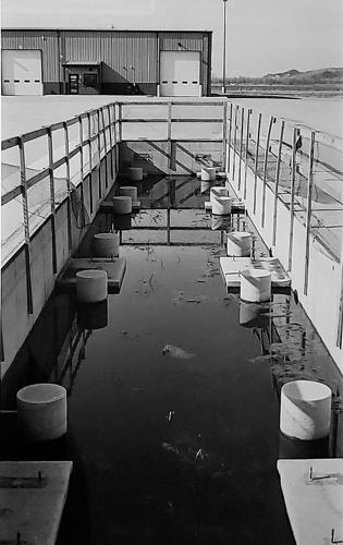 New photography exhibit at Sump – p3