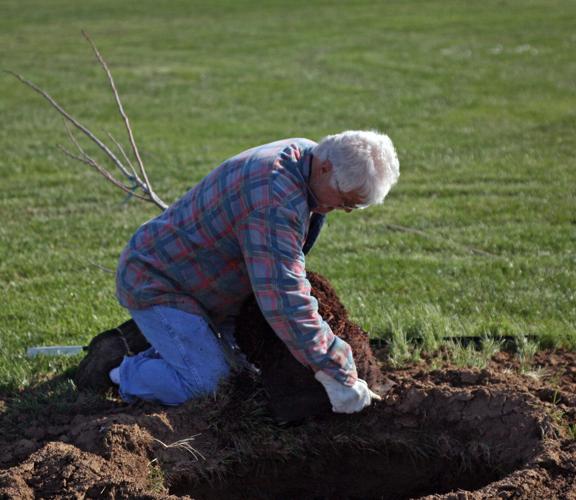 051822-gb-news-tree-planting-p2.jpg