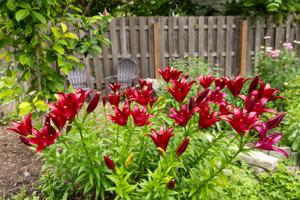 062526-owh-new-gardenwalk-jc-1.JPG