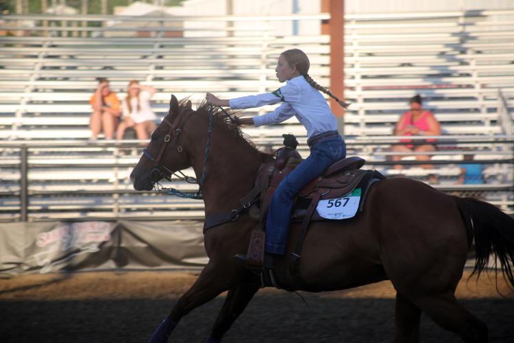 080724-sni-news-4h-horse-15