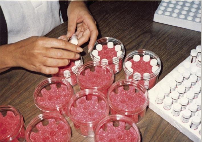 Packing test tubes (pg. 88).jpg