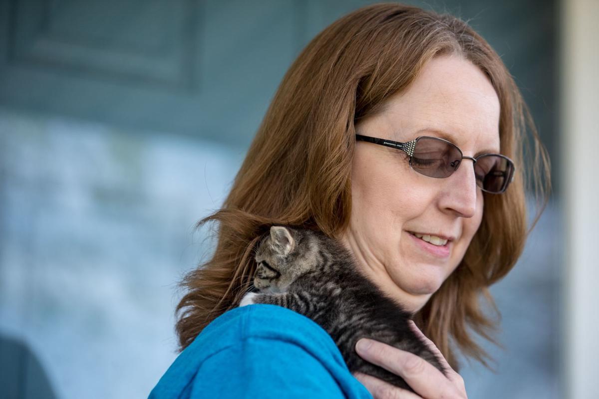 Animal Rescue Group From Fremont Seeks Homes For Cats Displaced By Flood Local News Omaha Com