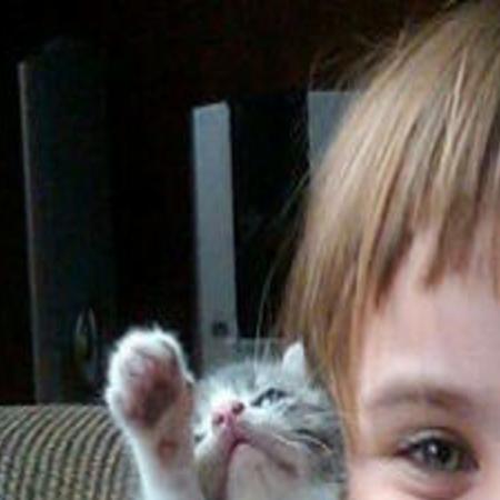 Where Cats Are More Popular Than Dogs In The U S And All Over